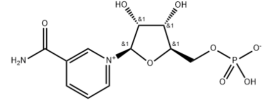 NMN  （Nicotinamide Mononucleotide）