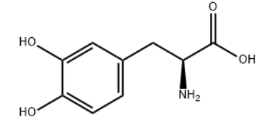 Levodopa（L dopa）