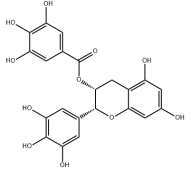 EGCG (Green Tea Extract)