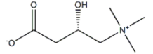 L Carnitine